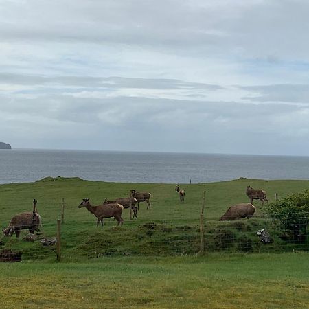 Coral Cabins Dunvegan  Bilik gambar
